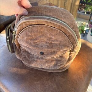 Tush Baby Carruer in Velvet Sable